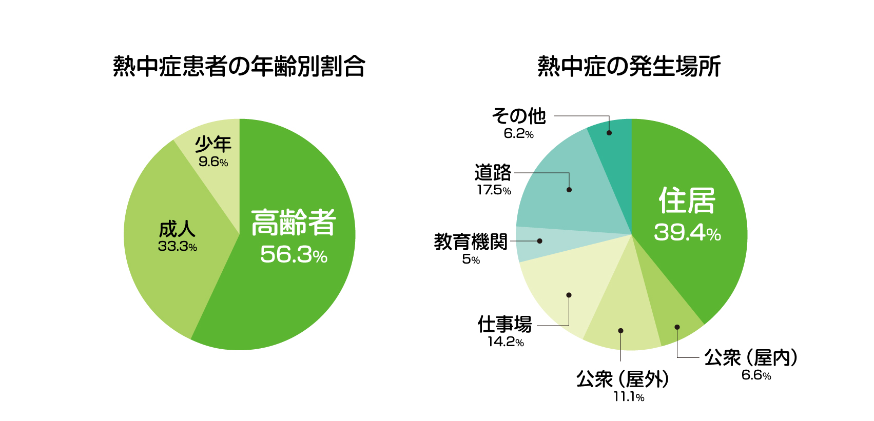 グラフ：熱中症患者の年齢別割合：少年9.6％、成人33.3％、高齢者56.3％ グラフ：熱中症の発生場所：その他6.2％、道路17.5％、教育機関5％、仕事場14.2％、公衆（屋外）11.1％、公衆（屋内）6.6％、住居39.4％