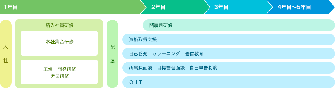 若手社員への成長支援体制