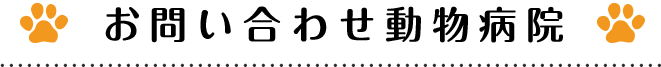 お問い合わせ動物病院