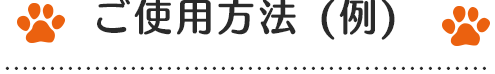 ご使用方法(例)